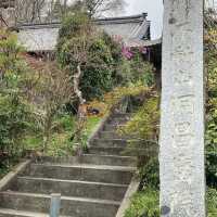 Fudo Myoo of the Kobo Daishi Kukai Statue