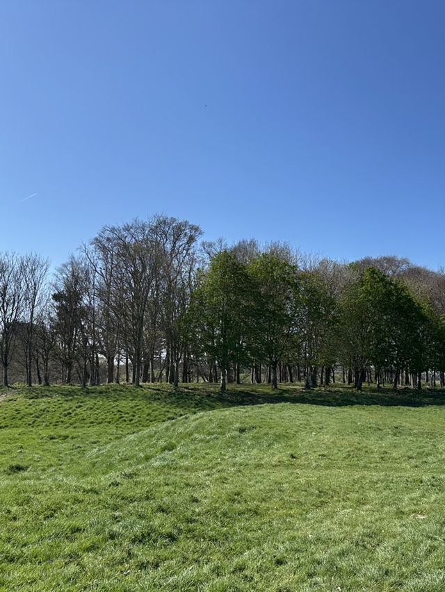 鳳凰公園遊記：漫步都柏林的綠色心臟