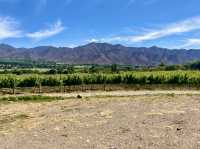 The Wine & Vistas Trail 🍷🌵