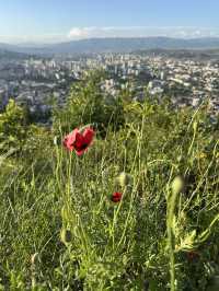 Mountain hikes without leaving Tbilisi!