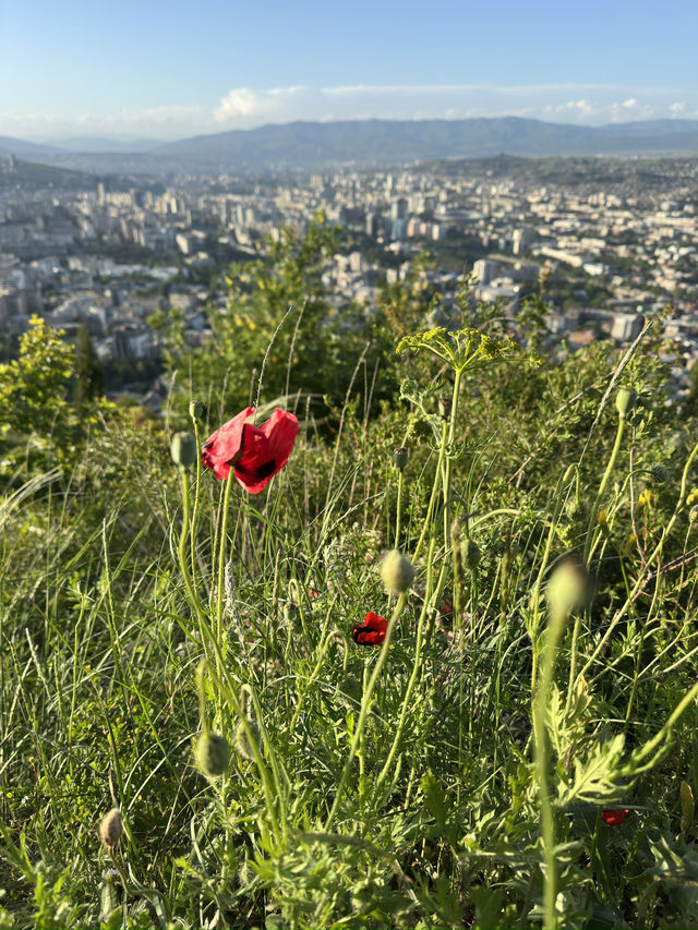 Mountain hikes without leaving Tbilisi!