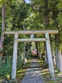 🏔️ Takayama, Shirakawa-go or Kanazawa? Which Japanese Alps Gem Should You Visit?