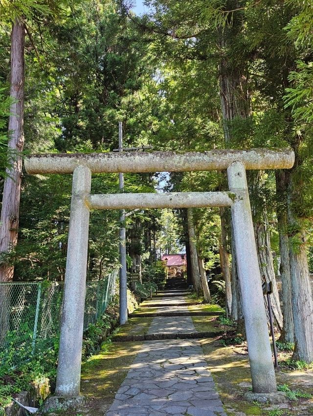 🏔️ Takayama, Shirakawa-go or Kanazawa? Which Japanese Alps Gem Should You Visit?