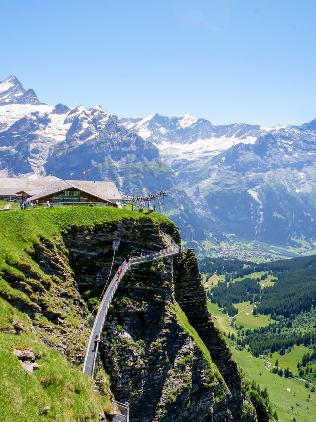 🏔️ รีวิว Grindelwald First – ประสบการณ์สุดขอบฟ้า