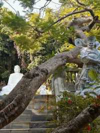 Discovering Marble Mountain in Da Nang: A Hidden Gem of Vietnam