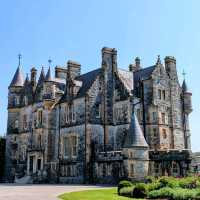 The best way to soak up the rare Irish sun 😎🇮🇪