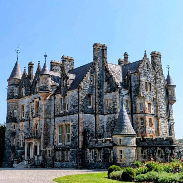 The best way to soak up the rare Irish sun 😎🇮🇪 The best way to soak up the rare Irish sun 😎🇮🇪