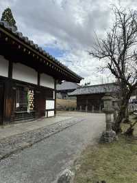 Japan Trip: Get ready to discover the ancient vibes of Nara!
