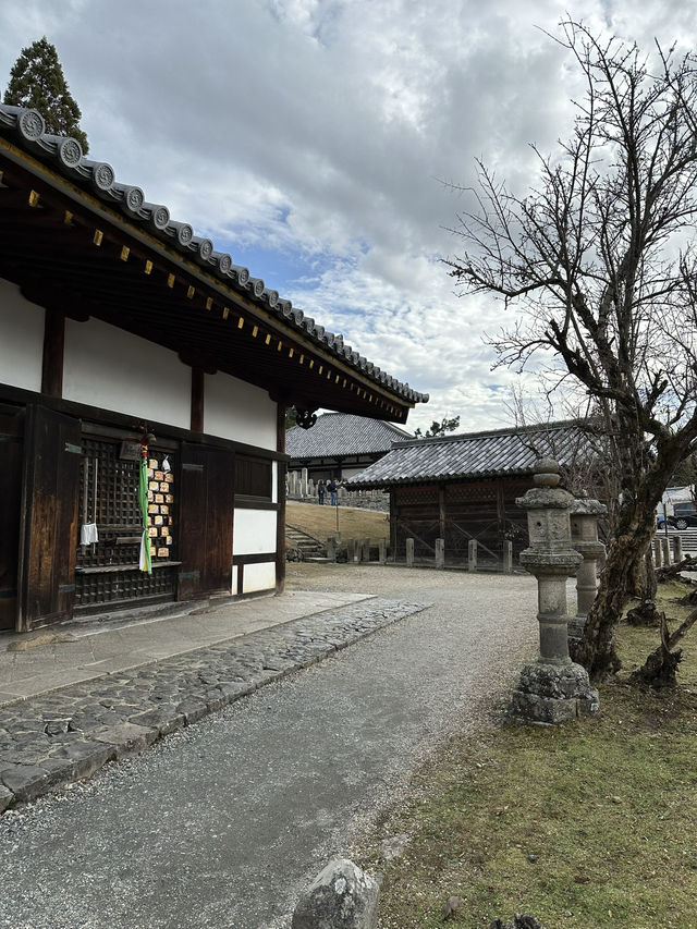 Japan Trip: Get ready to discover the ancient vibes of Nara!