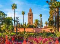 Magic of Marrakech ✨: Get Lost (Happily!) in Vibrant Souks & Secret Gardens of the Red City!