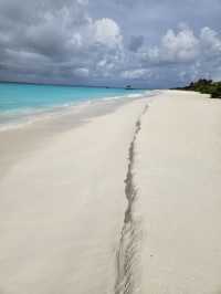  🌴🚤 Escape to Heaven: Unveiling the Charm of Hondaafushi Island Resort