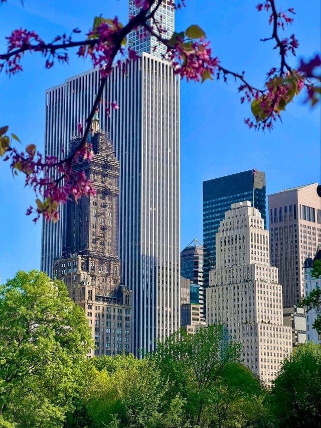 Central Park, it’s basically Hollywood’s favorite green screen!
