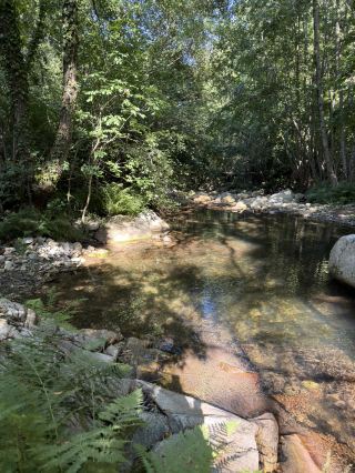 Pelister: Your Ultimate Nature Escape Guide 🌲💦