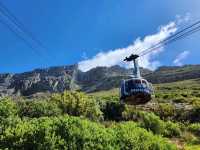 Table Mountain - A World Wonder