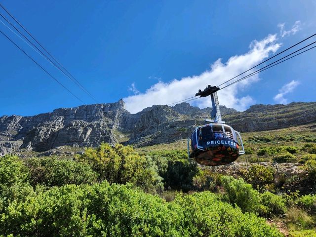 Table Mountain - A World Wonder