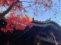 Danzawa Oyama Maple Leaf