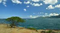 Hawaii! Here I come!