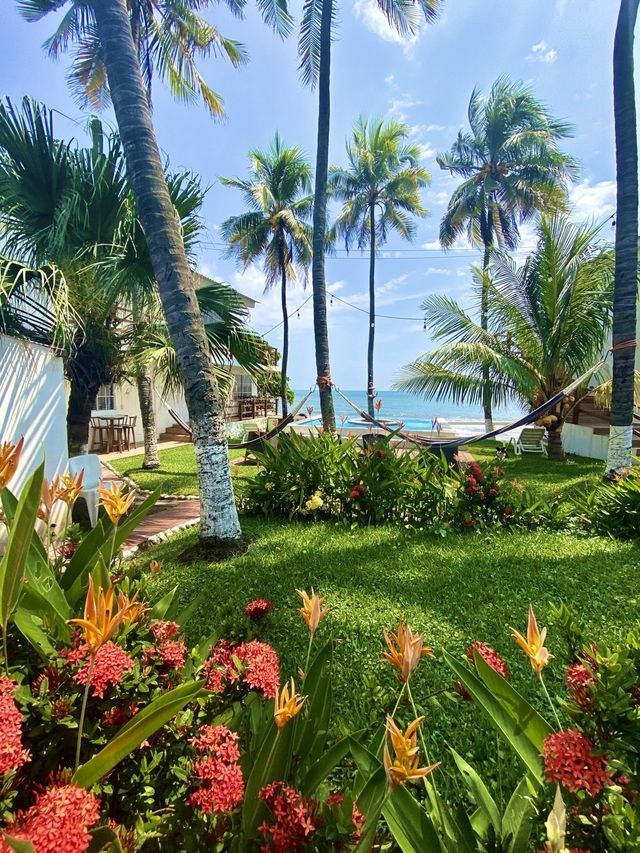  Coastal Paradise at La Libertad Beach