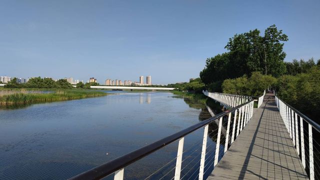 哈爾濱文化中心濕地公園