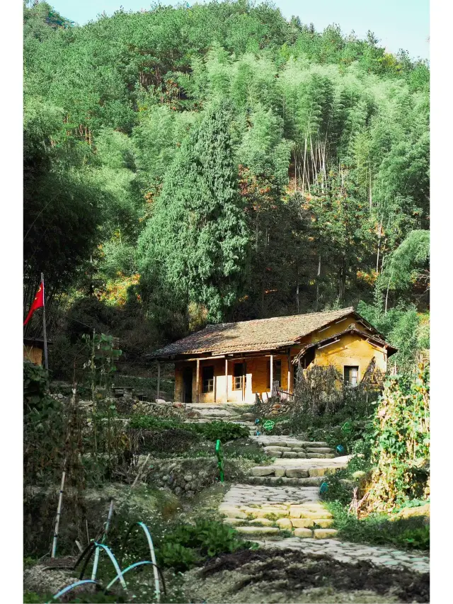 下姜村 | 浙江の人々だけが知っているリゾート