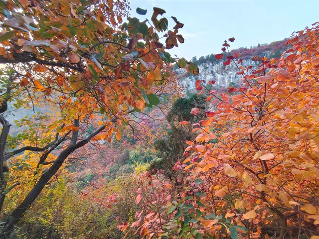 臨朐石門坊：千年古韻，紅葉仙境