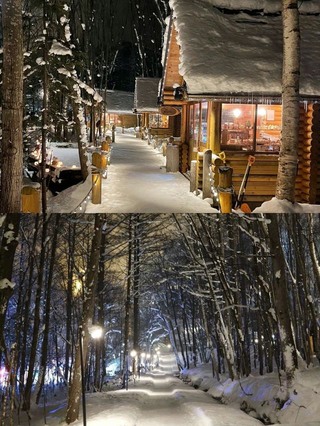 北海道5天4夜攻略｜札幌小樽的雪天太美了