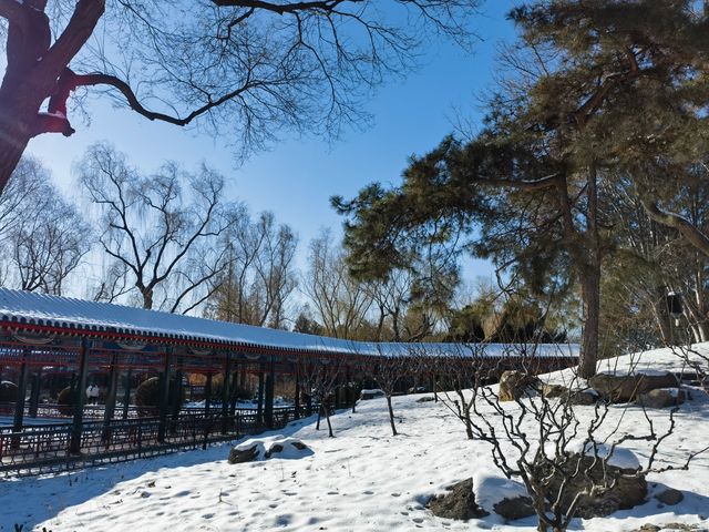 雪後遊覽東華門故宮中山公園
