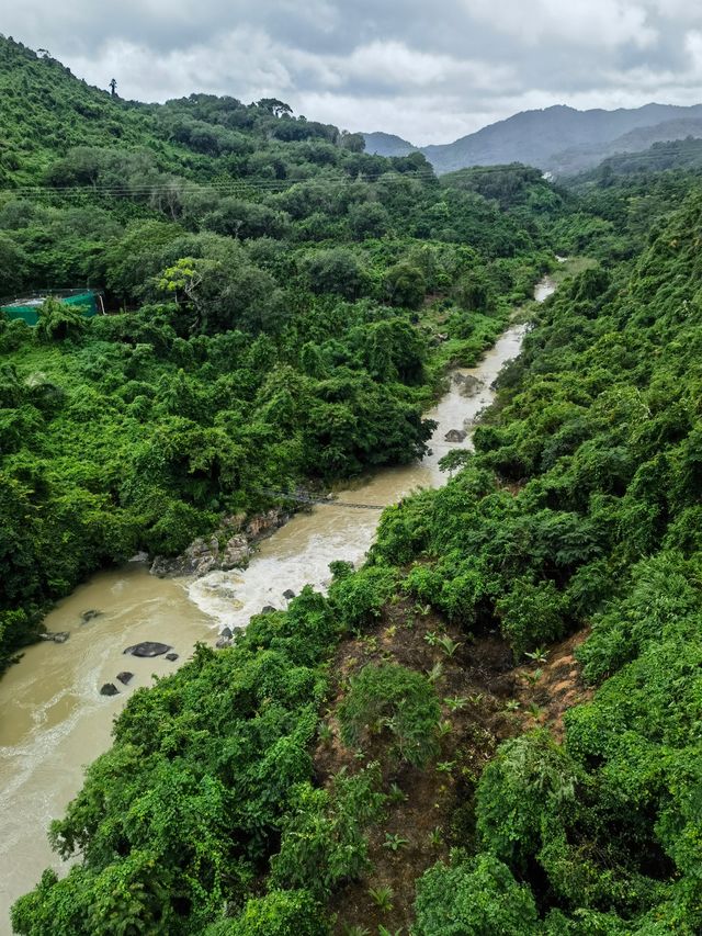 呀諾達熱帶雨林