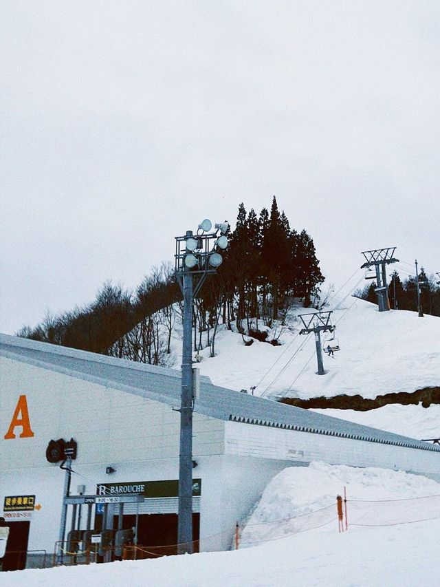 日本滑雪好去處——GALA湯澤滑雪場