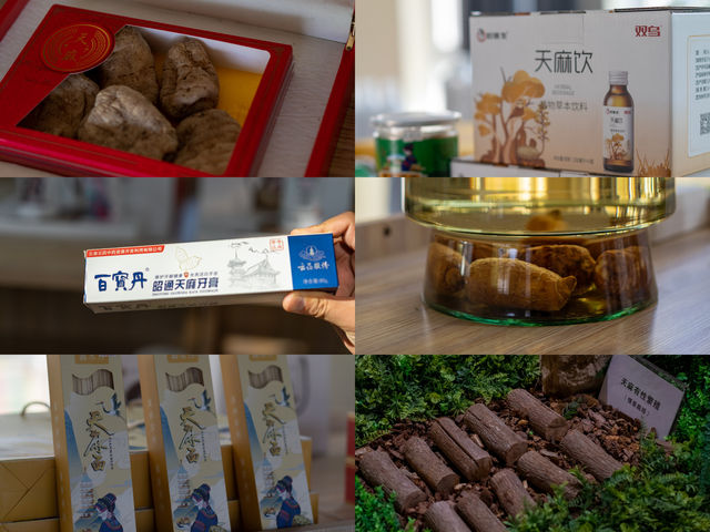 昭通彝良縣小草壩，峽谷飛瀑下的尋天麻之旅