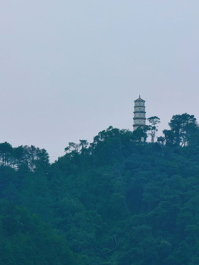 梧州鴛江麗港