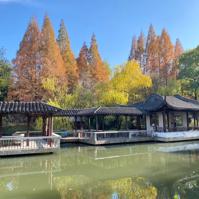 秋色甚好，深秋一定得來一次東園