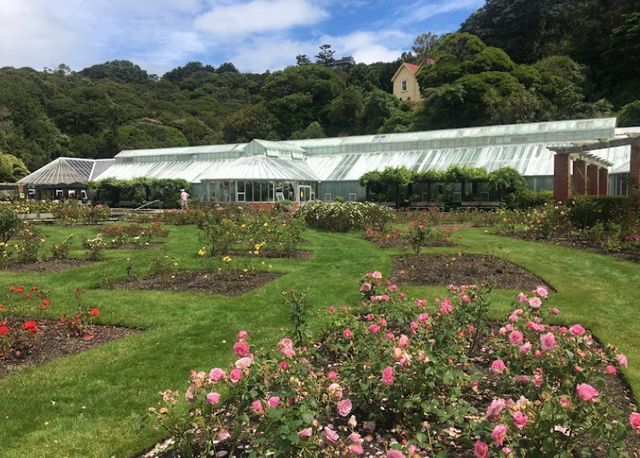 惠靈頓植物園：自然之美的探索之旅