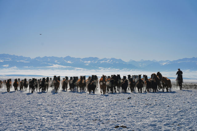 昭蘇，“天馬故鄉”，冰雪之旅不一般！