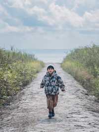 上海崇明島的秋色倒計時打卡攻略