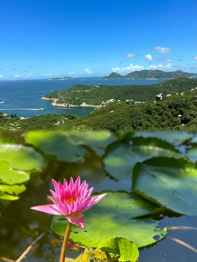 동오섬: 주하이의 치유 계열 비밀의 장소