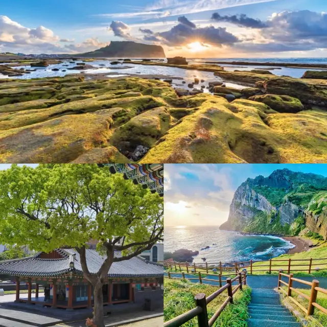 Let's go to Jeju Island in Korea and be happy islanders