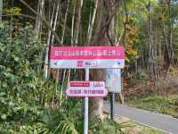庐江冶父山丨素有“江北小九华”之美称
