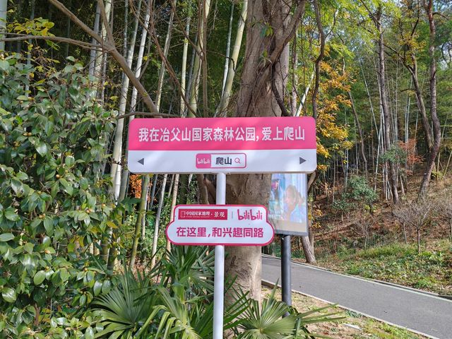 庐江冶父山丨素有“江北小九华”之美称