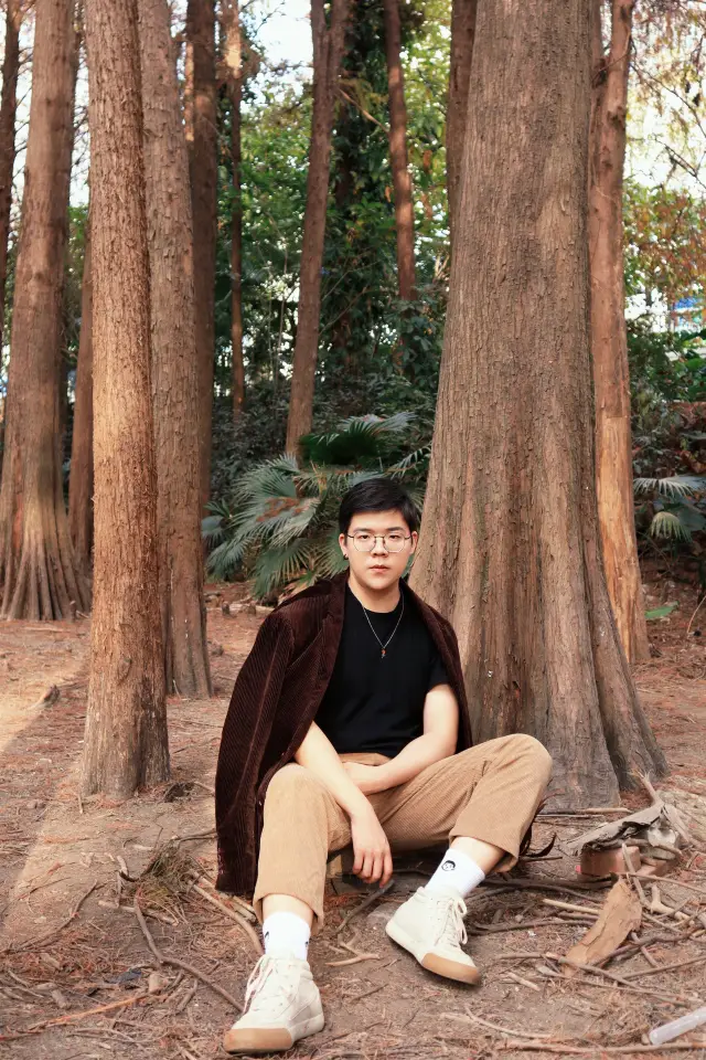 Honghu Park | Bald cypress, tree shadows, dim light🪵