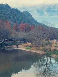 冬遊諸暨，西施故里，一方水土，養一方美人