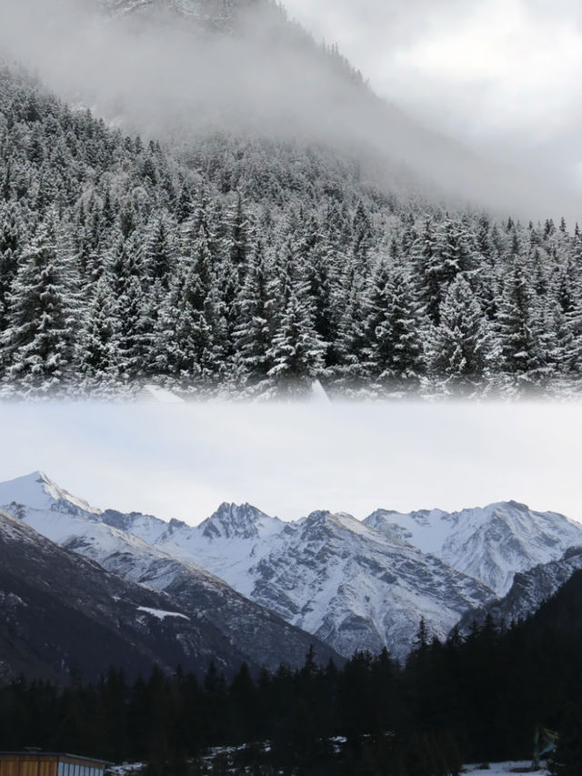 假裝在國外，住進雪山下的森林星空樹屋，體驗雪帶來的驚喜