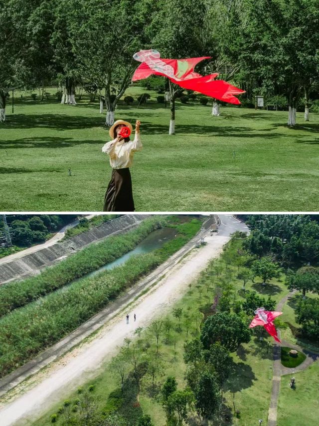山野溯溪撒歡，狗狗都會愛上的山中民宿