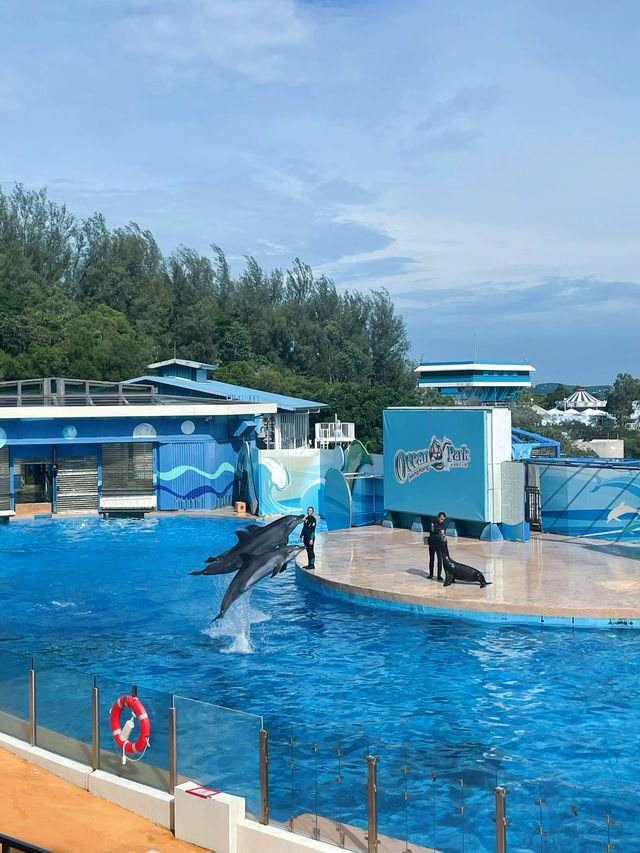 特種兵帶娃刷香港海洋公園