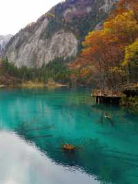 絕美秋景—九寨溝