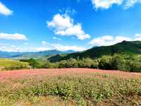 非常治癒的風景，來這裡視野開闊，心情嘎嘎好