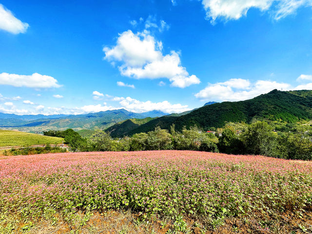 非常治癒的風景,來這裡視野開闊,心情嘎嘎好 非常治癒的風景,來這裡視野開闊,心情嘎嘎好