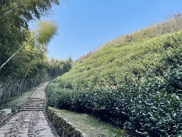 Jingshan Temple | Choosing to worship between work and progress