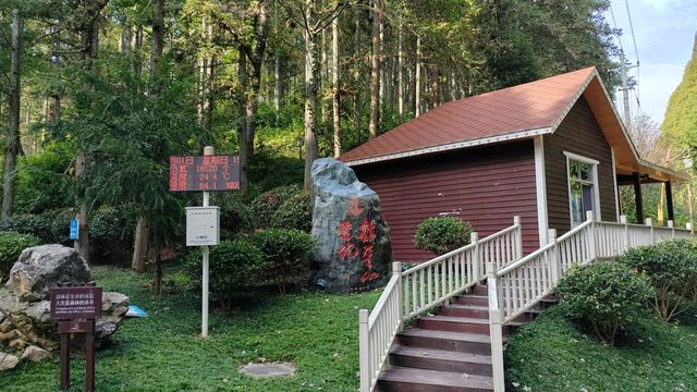 排牙山：森林小氣候大自然空調休閒好去處