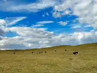 如果你也愛秋天，那你一定要去阿爾山